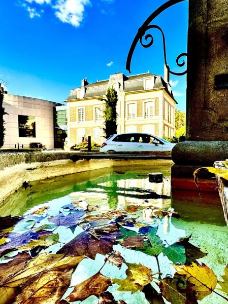 Macarons Glacier - photo 2